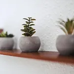 דירה Flexhome Stadtnatur ליפשטאדט