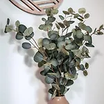 Flexhome Stadtnatur * ליפשטאדט