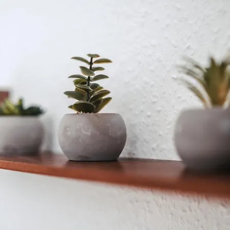 Διαμέρισμα Flexhome Stadtnatur Λίπσταντ
